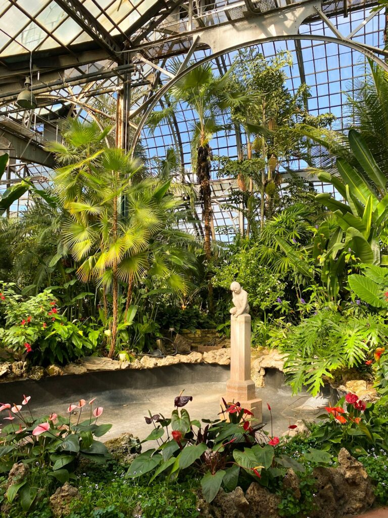 a garden with a fountain
