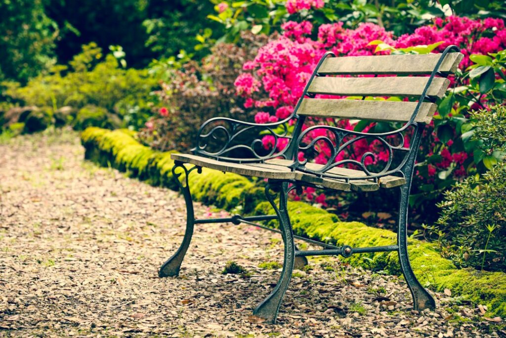 Empty wooden bench surrounded by vibrant flowers in a garden